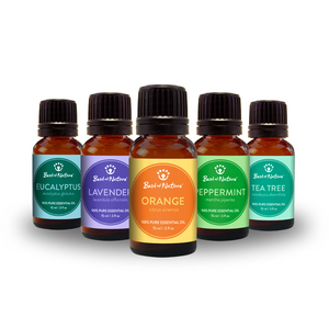 Aromatherapy Essential Oil Gift Set