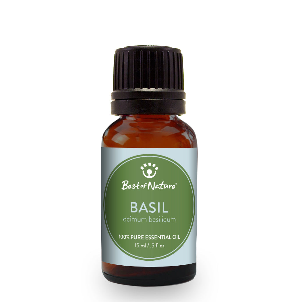 Basil Essential Oil - 100% Pure