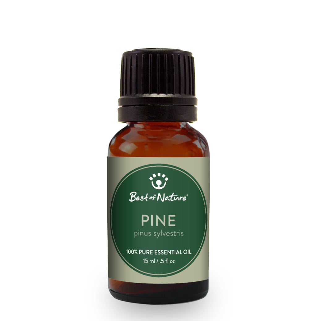 Pine Essential Oil - 100% Pure