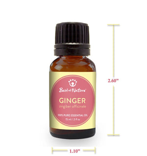 Ginger Essential Oil