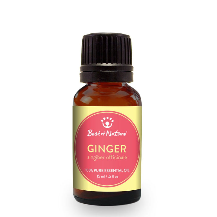 Ginger Essential Oil